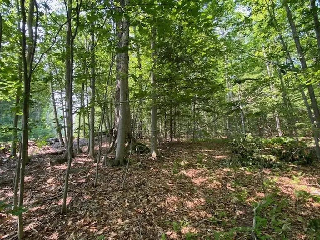 96 Nelson Hill Road Sutton NH 03221