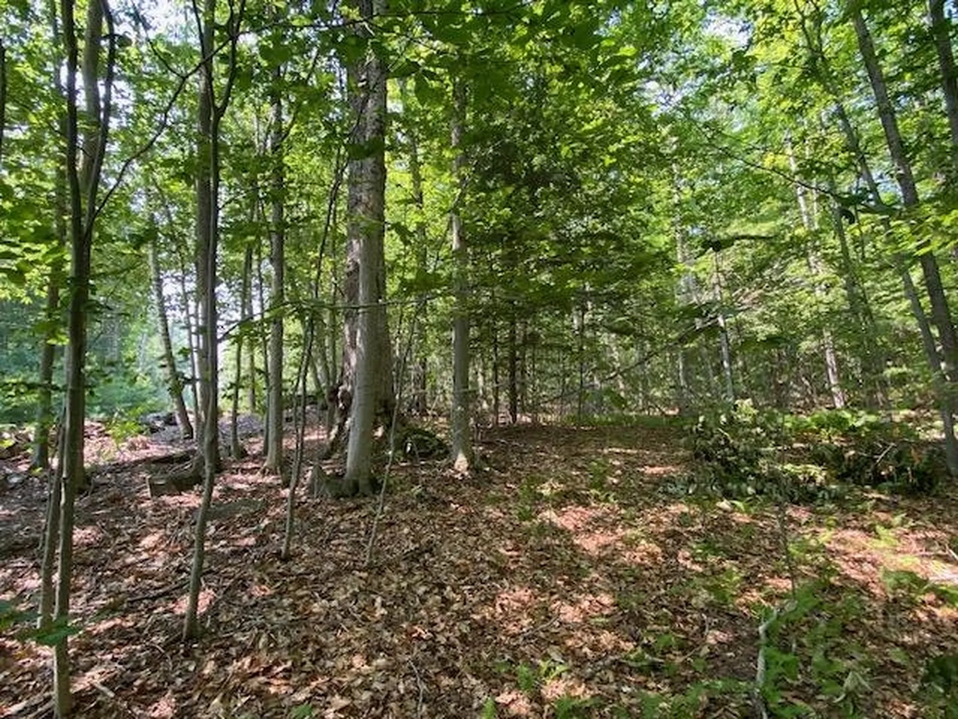96 Nelson Hill Road Sutton NH 03221