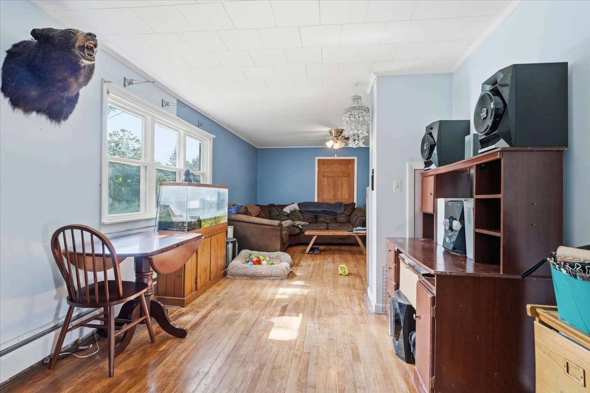 258 Buttolph Road Shoreham VT 05770