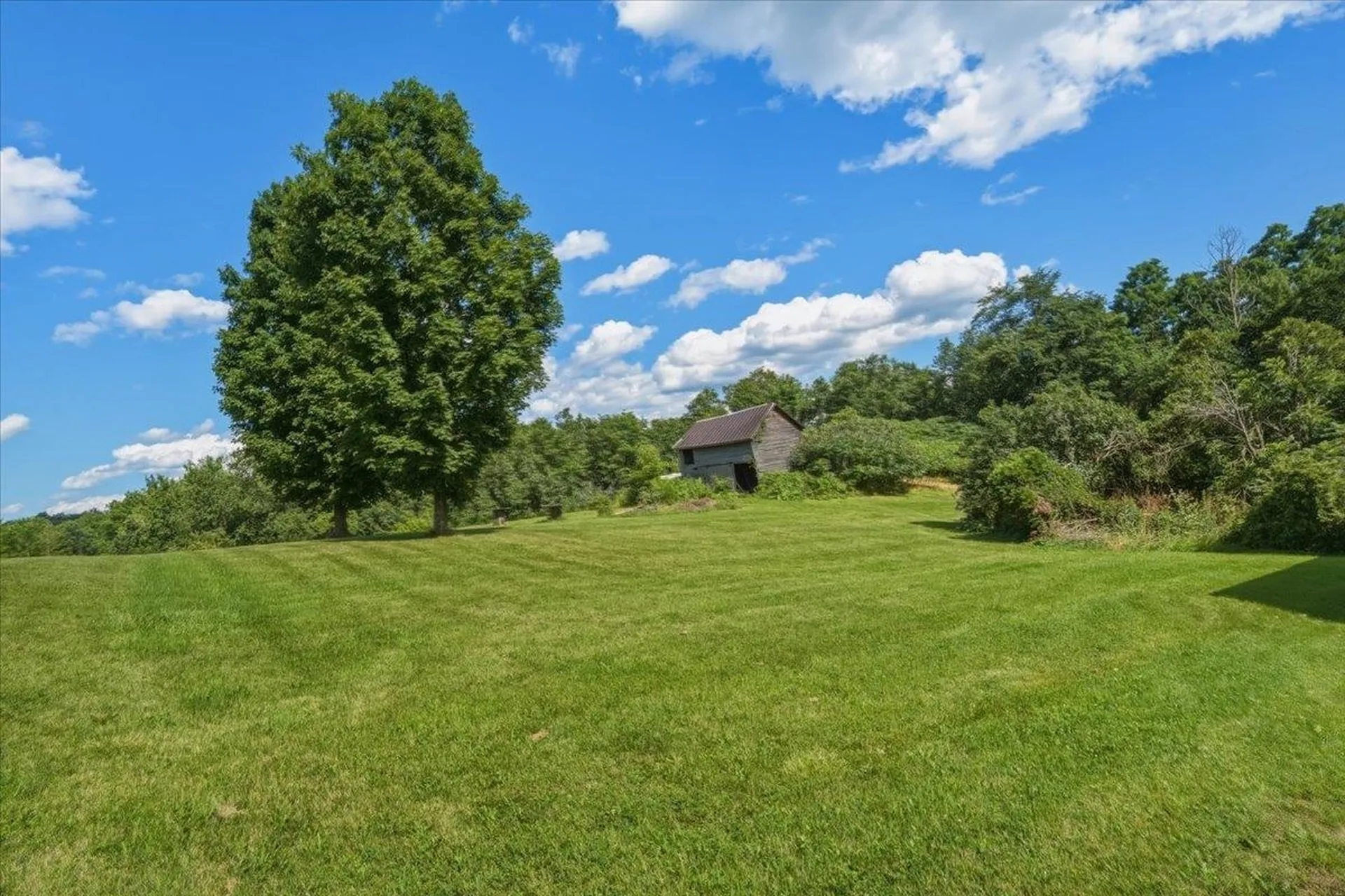 258 Buttolph Road Shoreham VT 05770