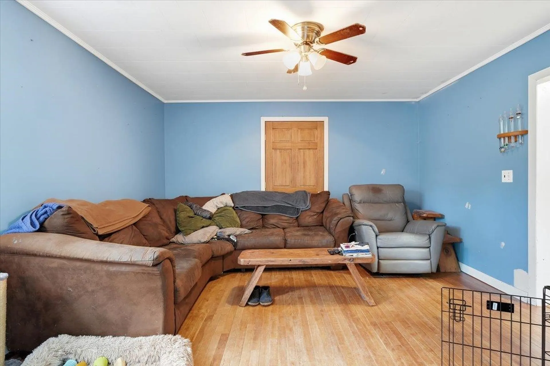 258 Buttolph Road Shoreham VT 05770