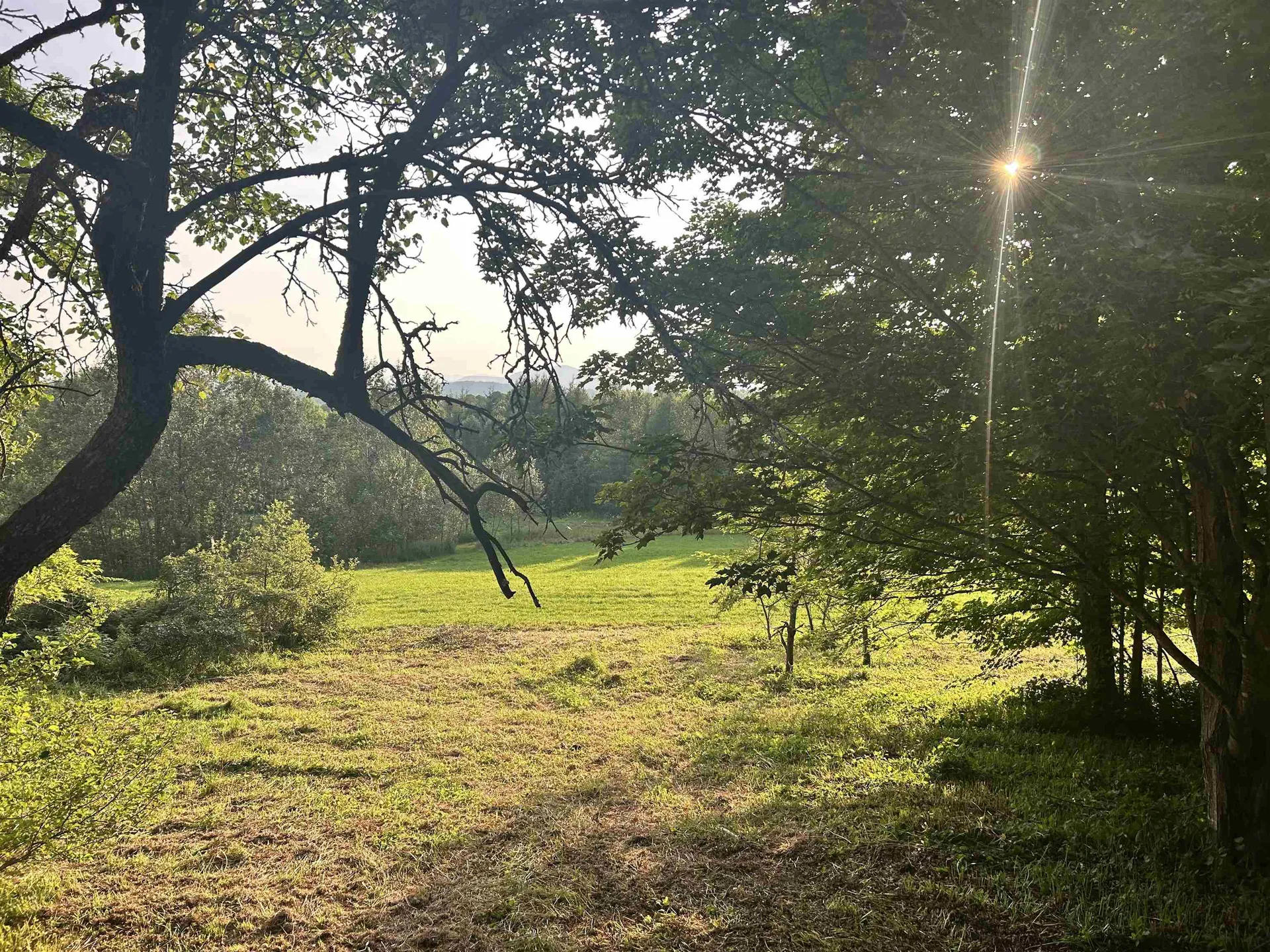 1301 Bailey-hazen Road Walden VT 05836