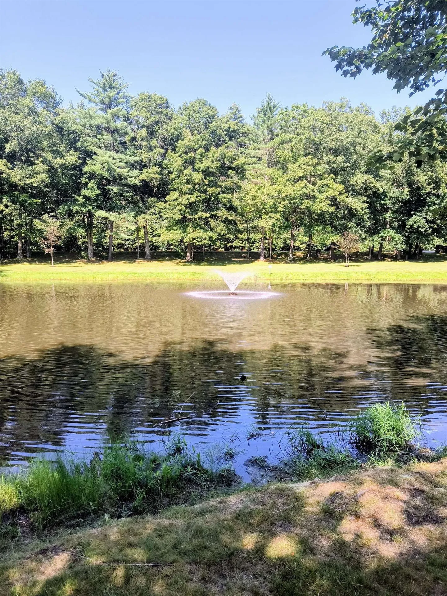 8 South Dewberry Lane Rochester NH 03867