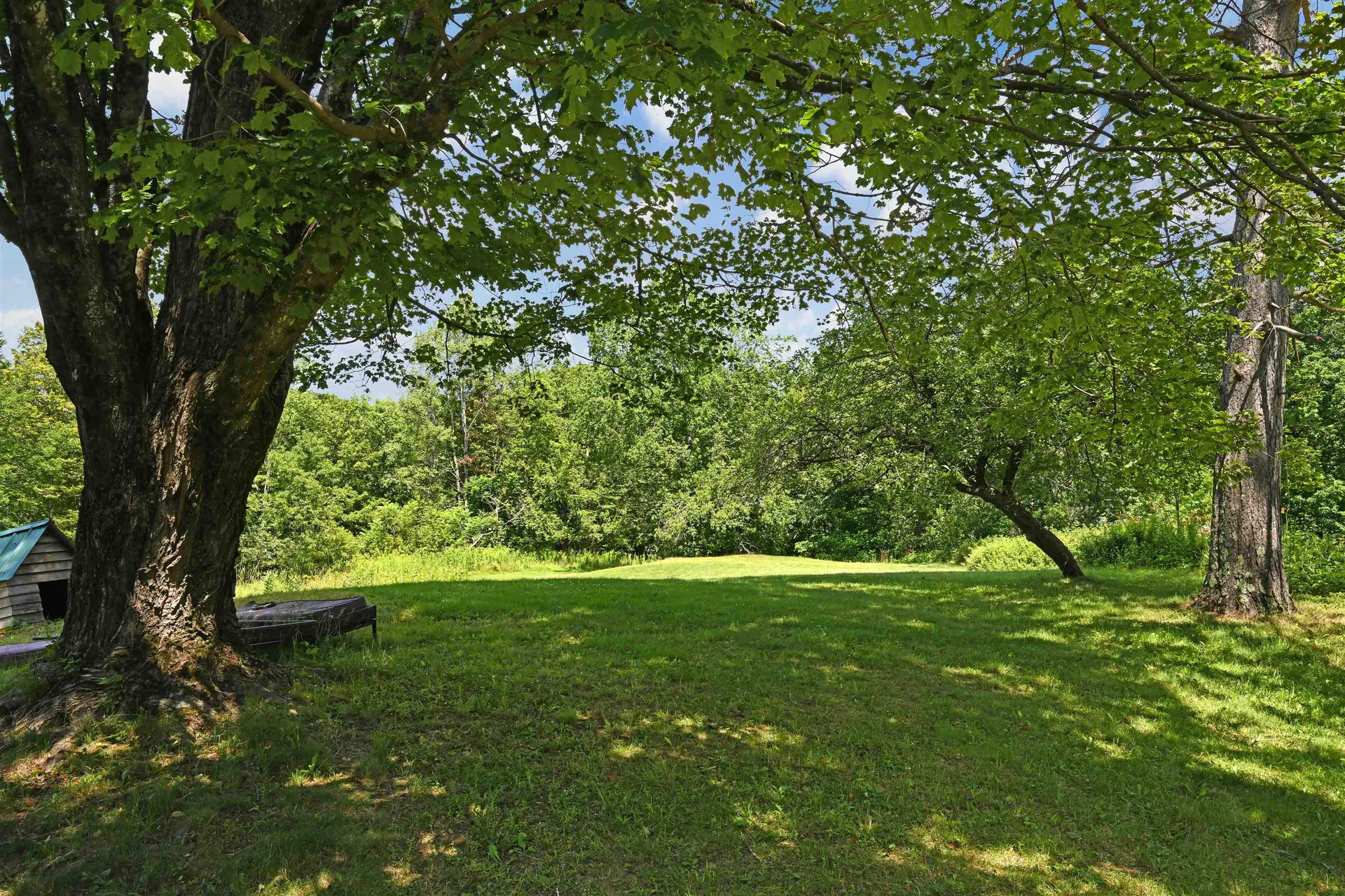 87 Grinka Farm Drive Readsboro VT 05350