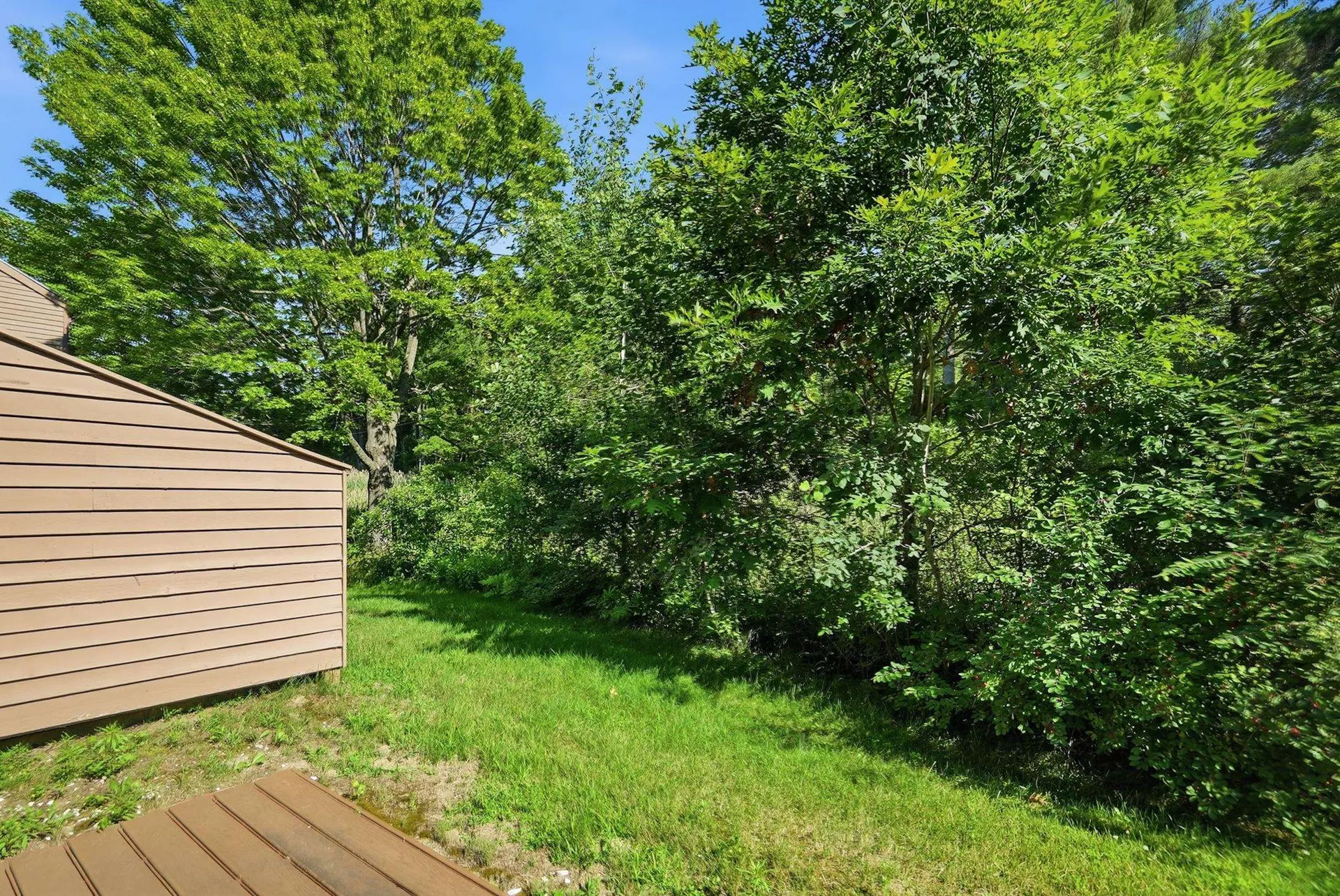 81 Hayes Avenue South Burlington VT 05403