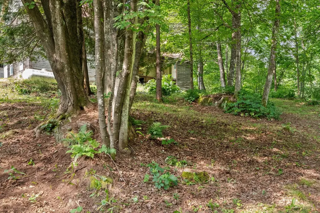 3267 Crossett Hill Road Duxbury VT 05676