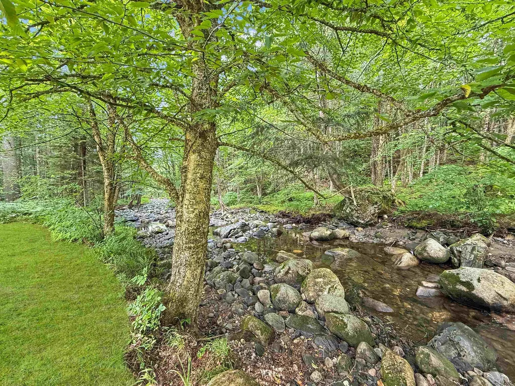 215 Mill Brook Road Bloomfield VT 05905