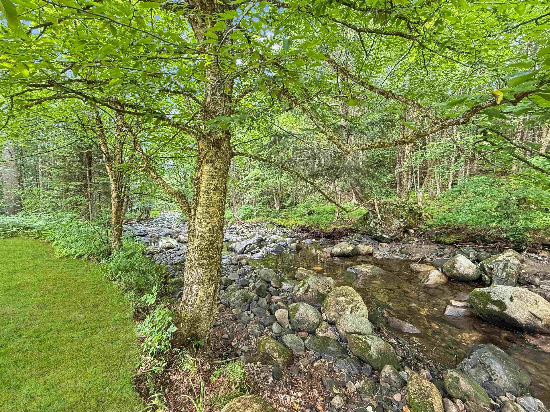 215 Mill Brook Road Bloomfield VT 05905