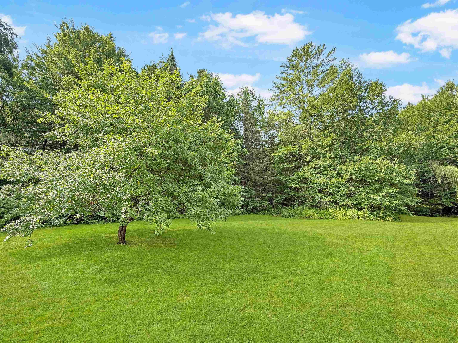 215 Mill Brook Road Bloomfield VT 05905