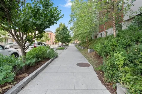 193 St.paul Street Burlington VT 05401