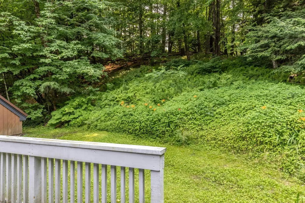 354 Stonybrook Road Stowe VT 05672