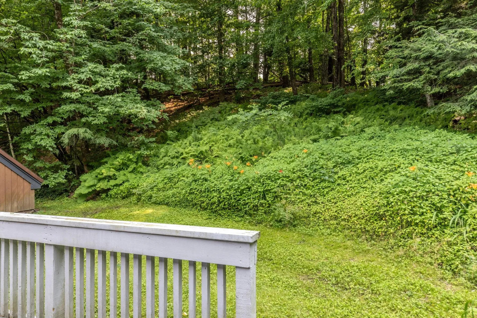 354 Stonybrook Road Stowe VT 05672