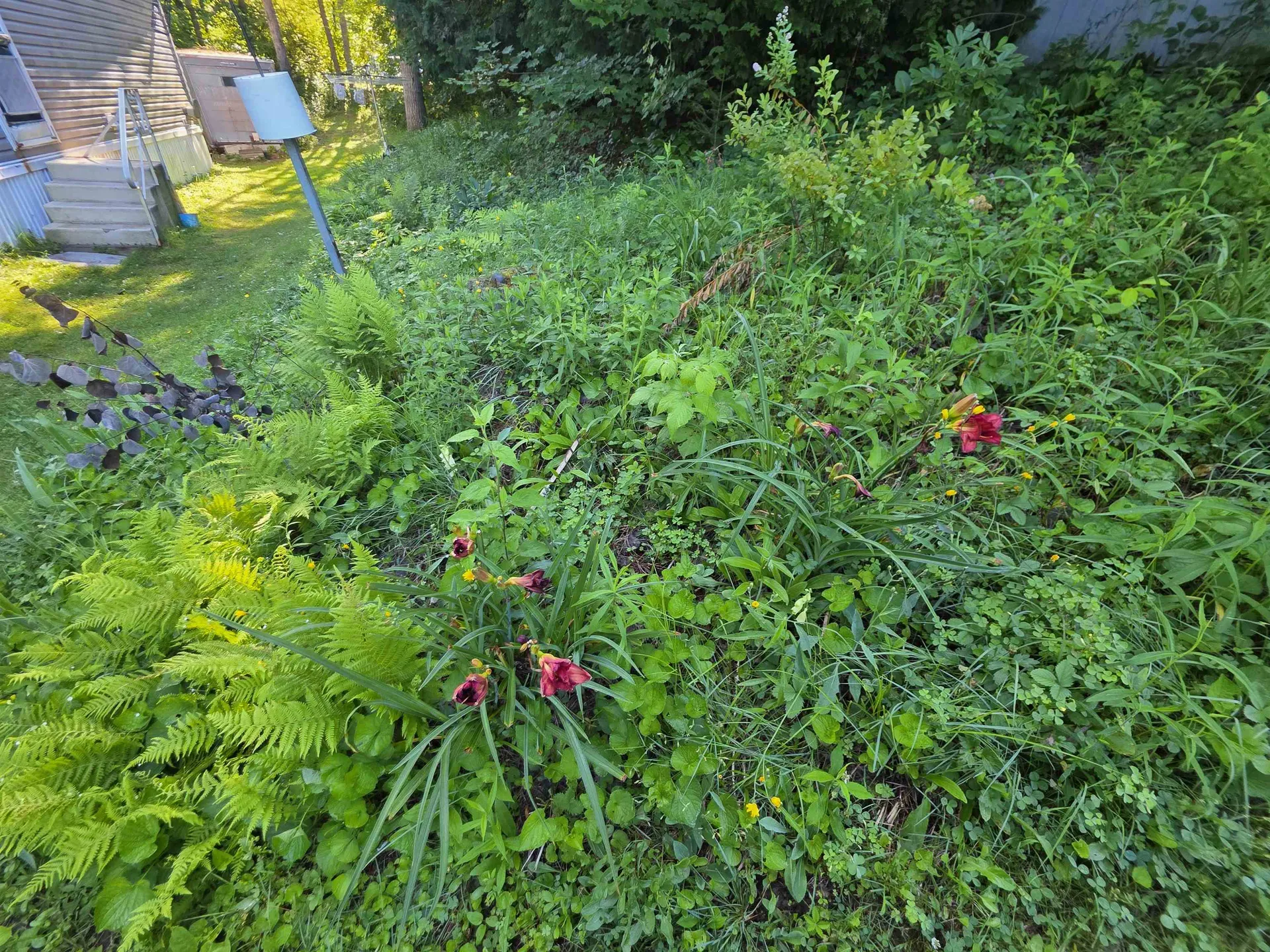 129 Sandy Pines Road East Montpelier VT 05651