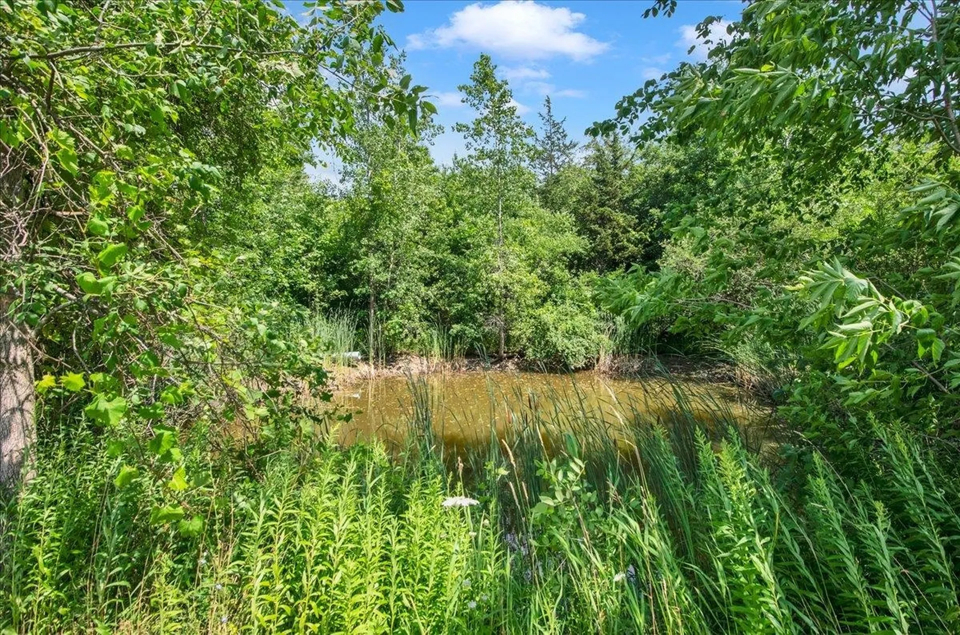 518 Dakin Road Ferrisburgh VT 05456