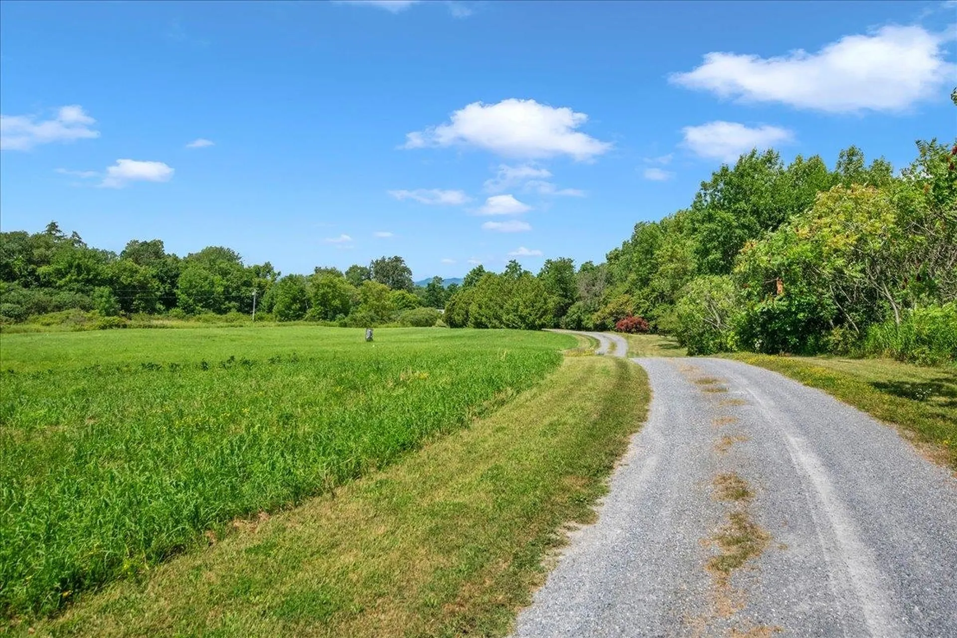 518 Dakin Road Ferrisburgh VT 05456