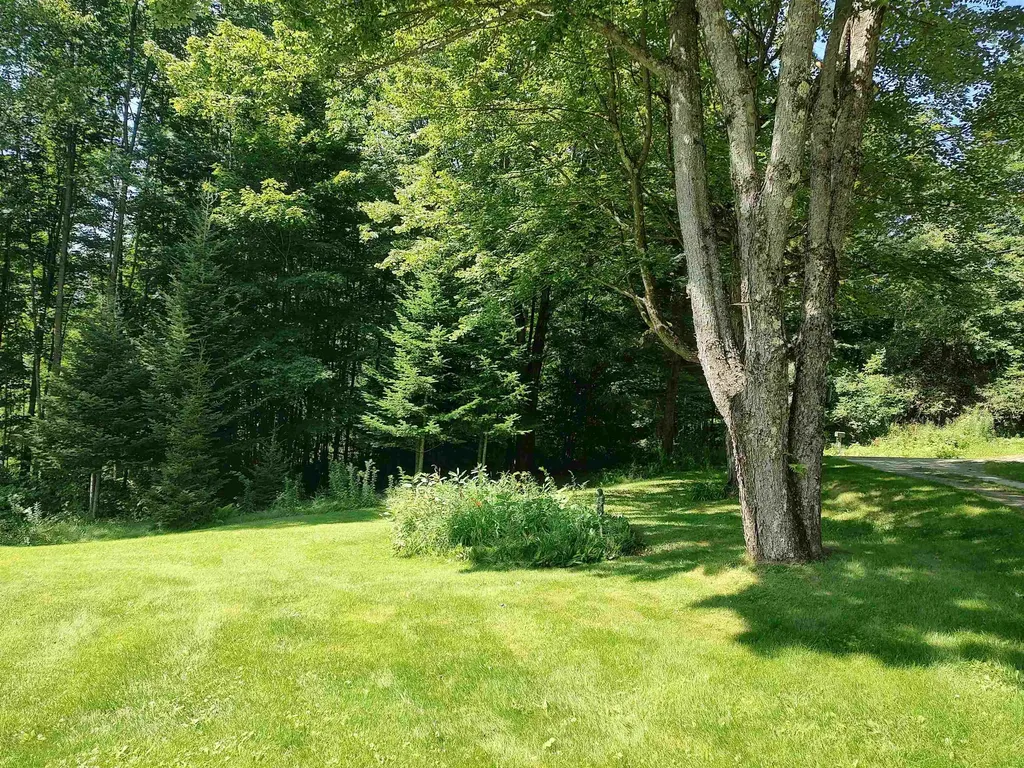1608 Braintree Hill Road Braintree VT 05060