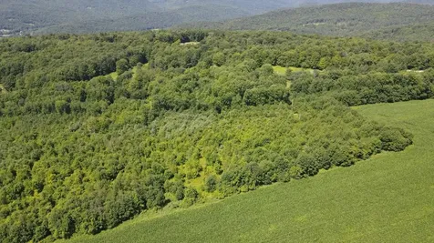 1608 Braintree Hill Road Braintree VT 05060