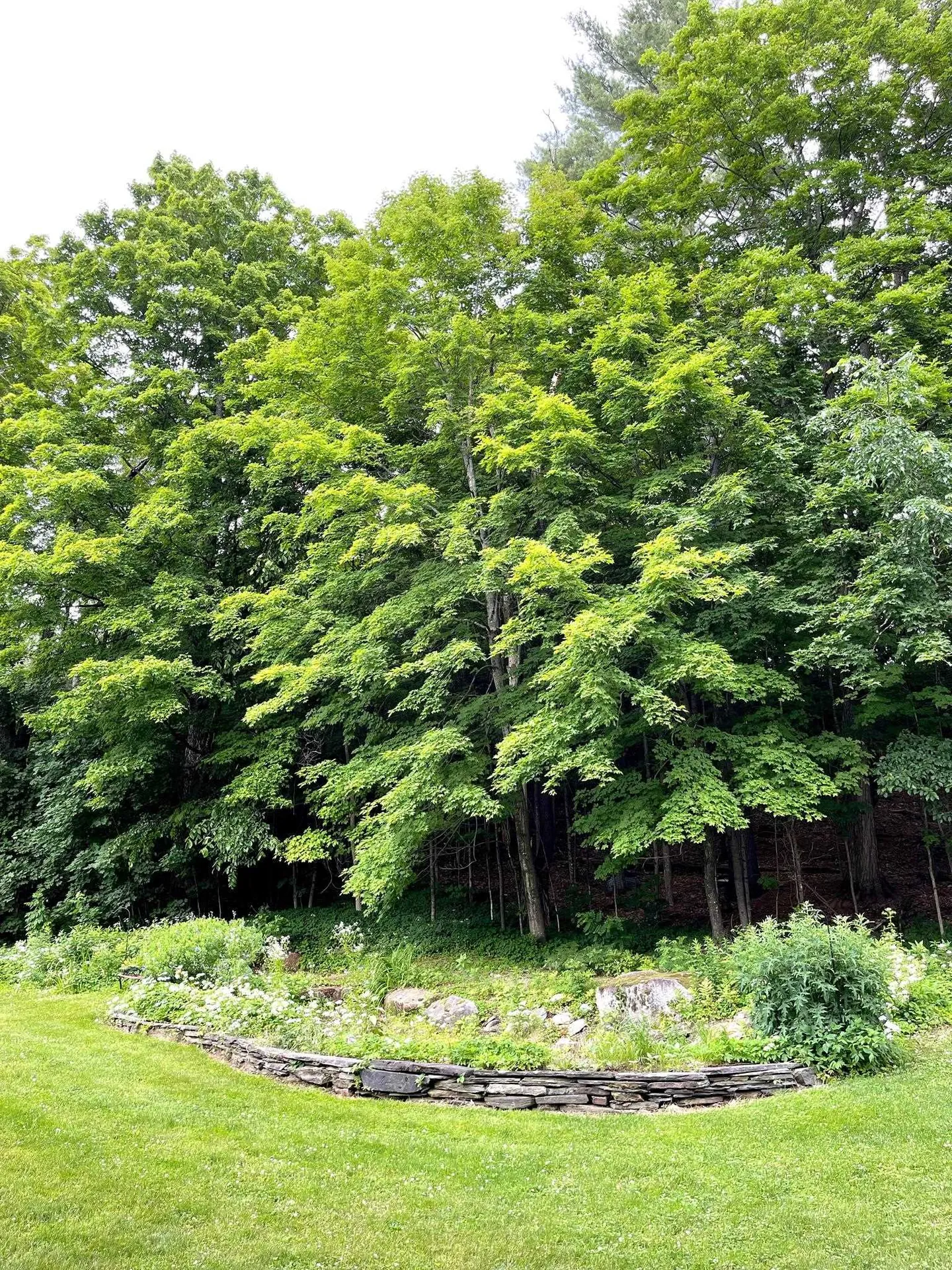 83 Maple Street Morristown VT 05661