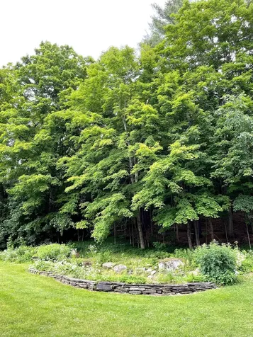 83 Maple Street Morristown VT 05661