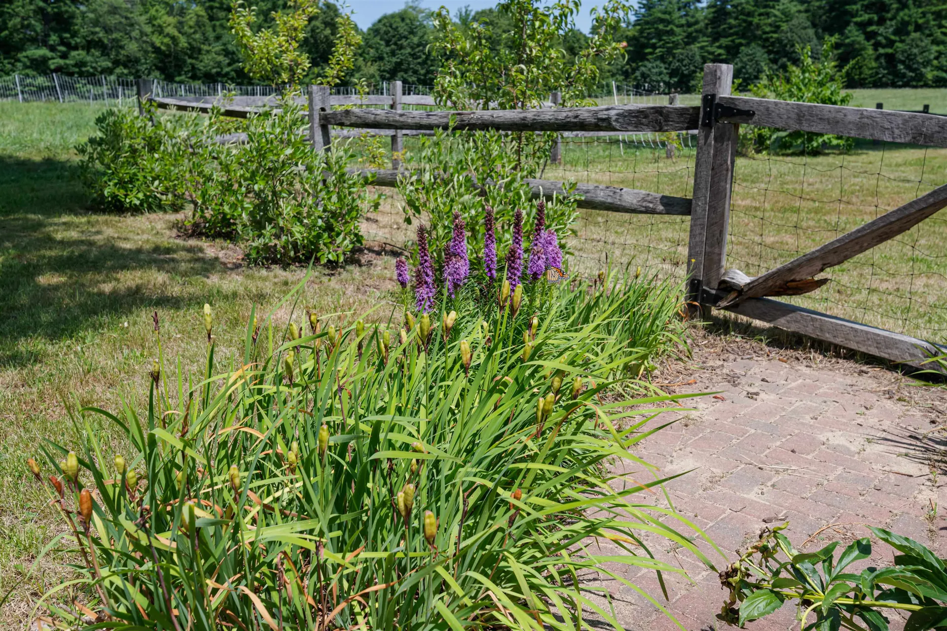 592 Abbot Hill Road Wilton NH 03086