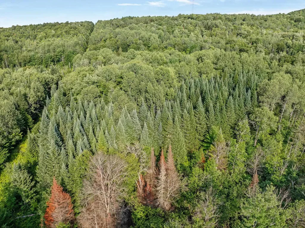 0 Vt Route 114 Route Canaan VT 05903