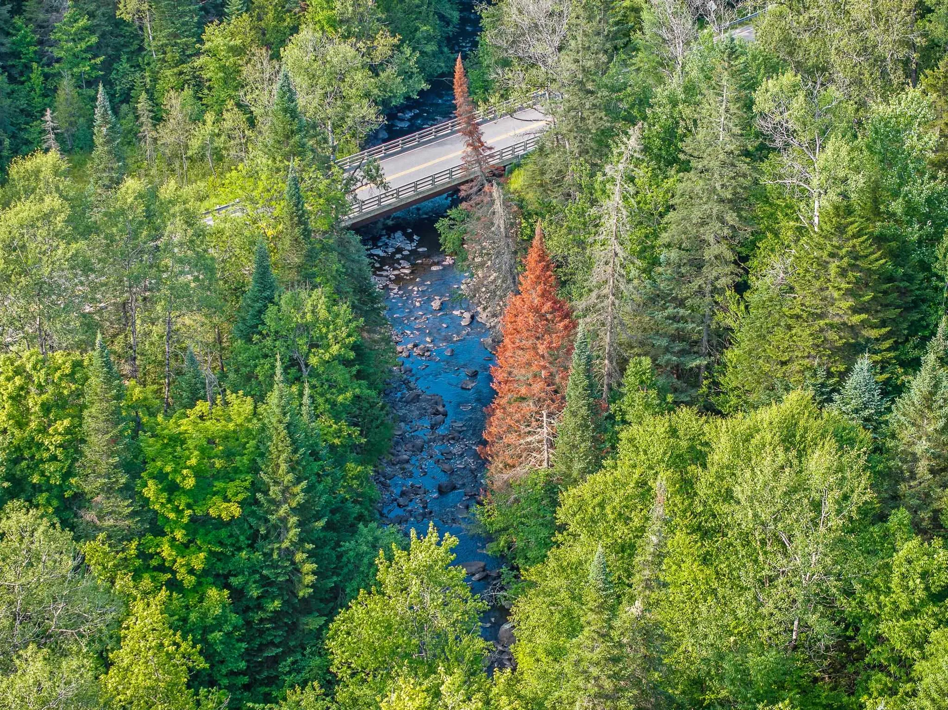 0 Vt Route 114 Route Canaan VT 05903