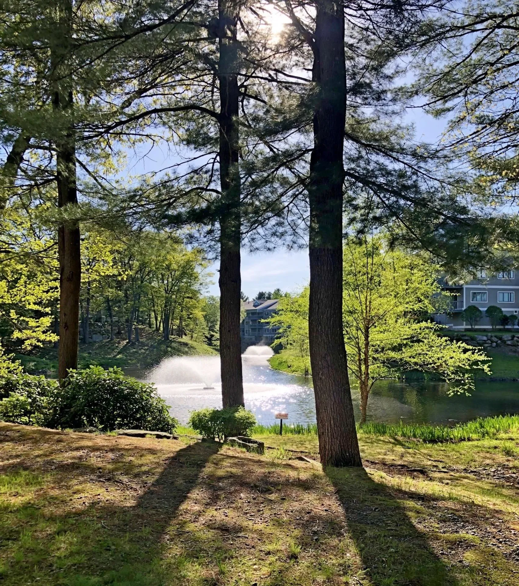 47 Dogwood Drive Nashua NH 03062