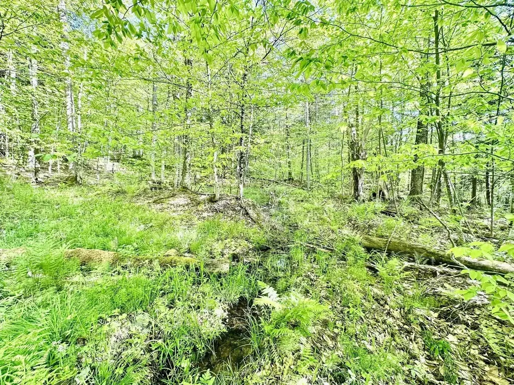 3342 East Hill Road Wolcott VT 05680