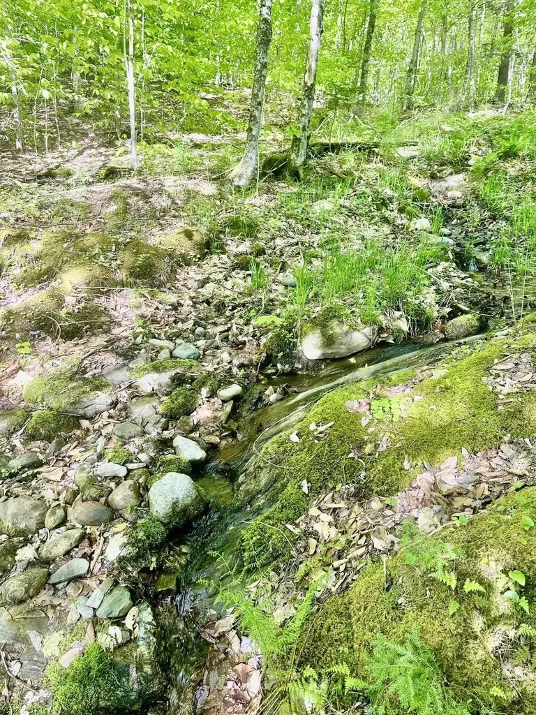 3342 East Hill Road Wolcott VT 05680