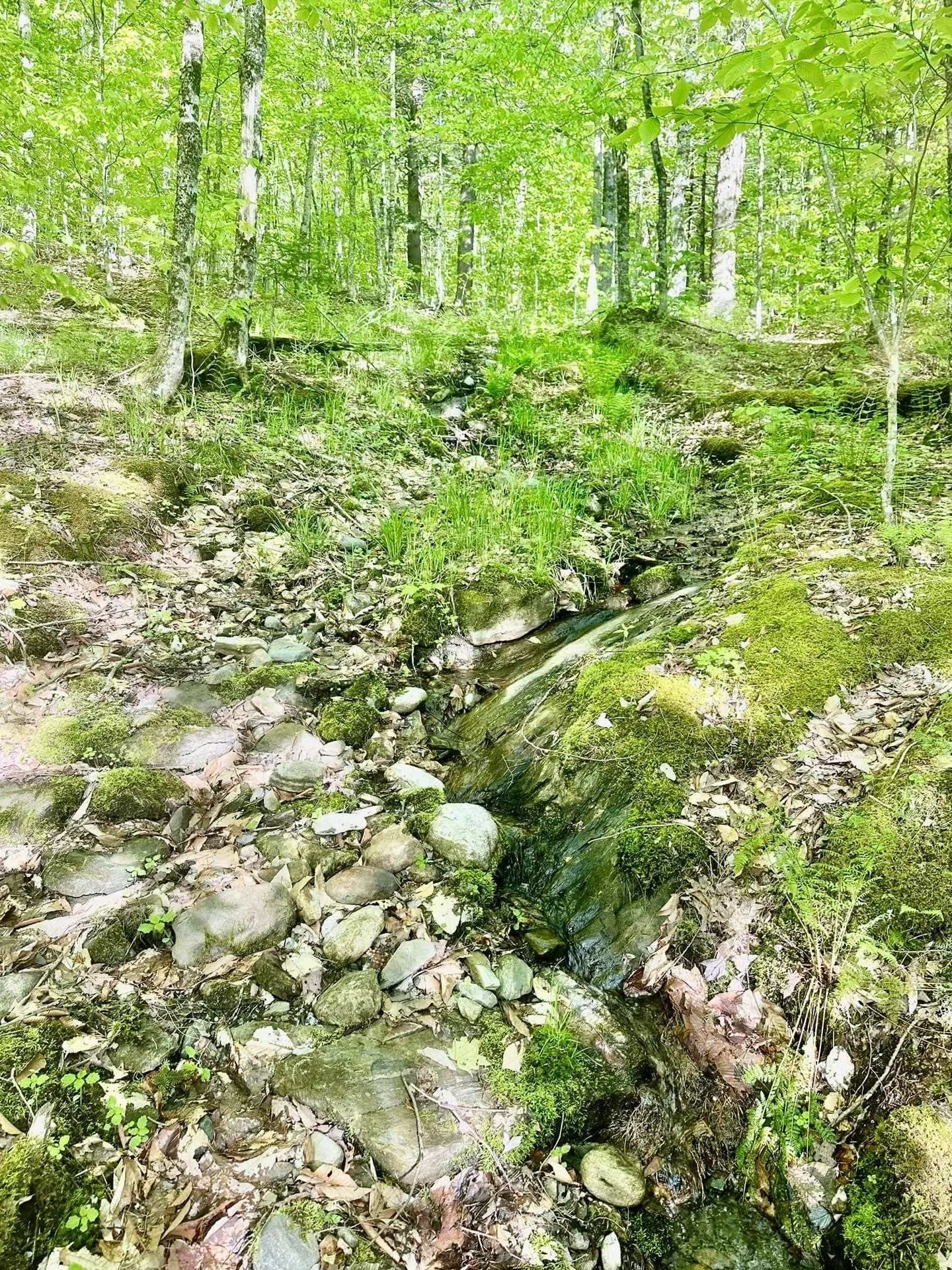 3342 East Hill Road Wolcott VT 05680