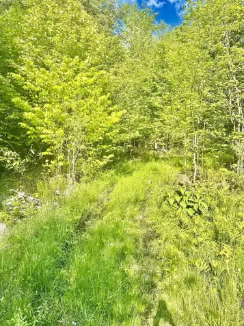 3342 East Hill Road Wolcott VT 05680