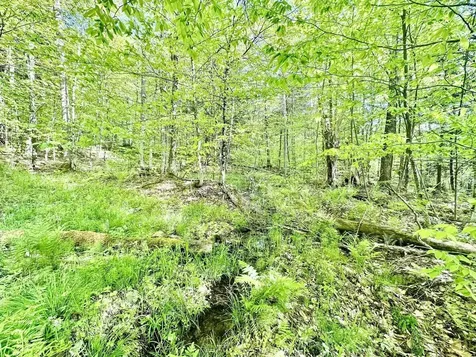 3342 East Hill Road Wolcott VT 05680