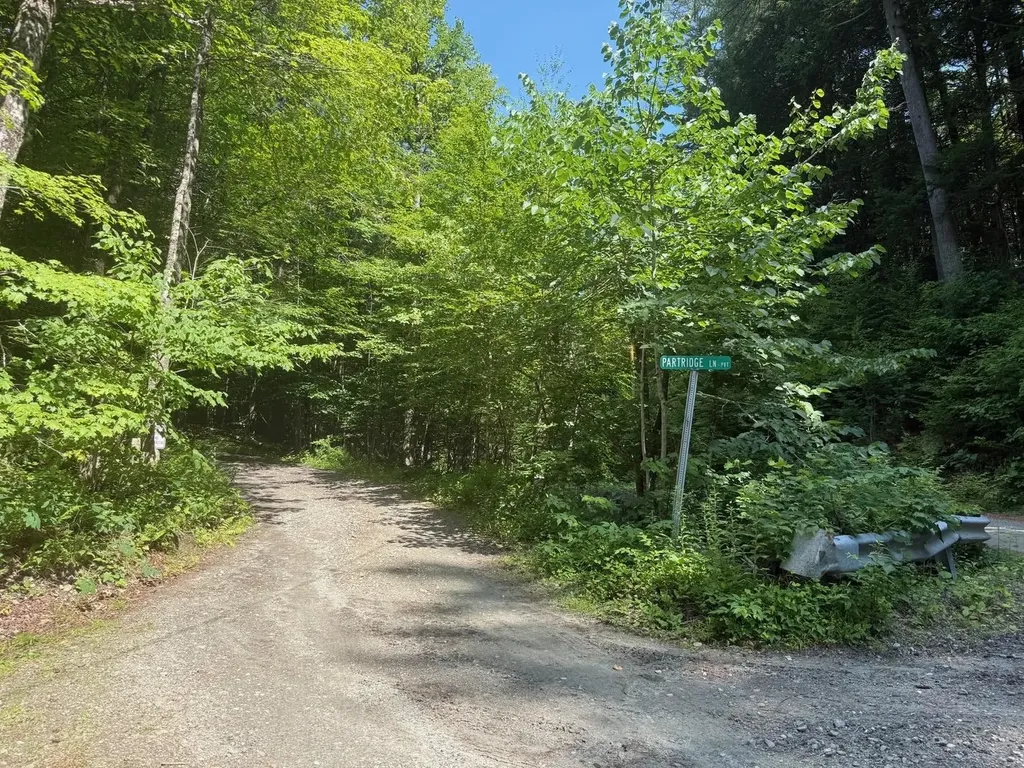 182 Partridge Lane Jamaica VT 05343