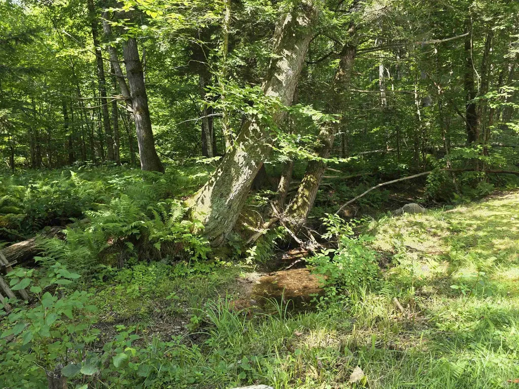 182 Partridge Lane Jamaica VT 05343