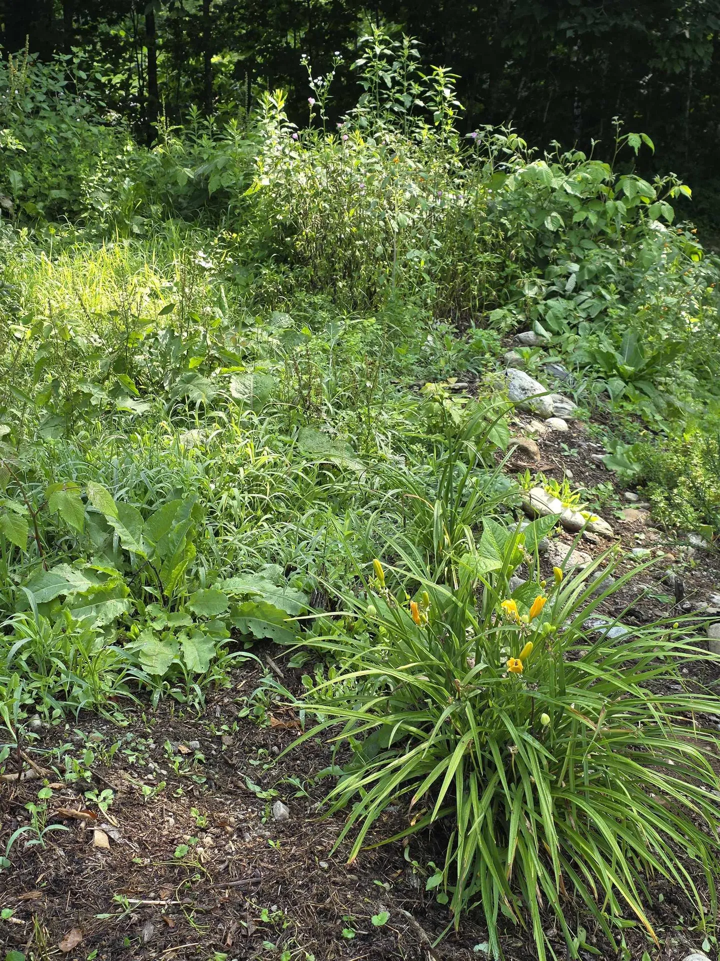 182 Partridge Lane Jamaica VT 05343