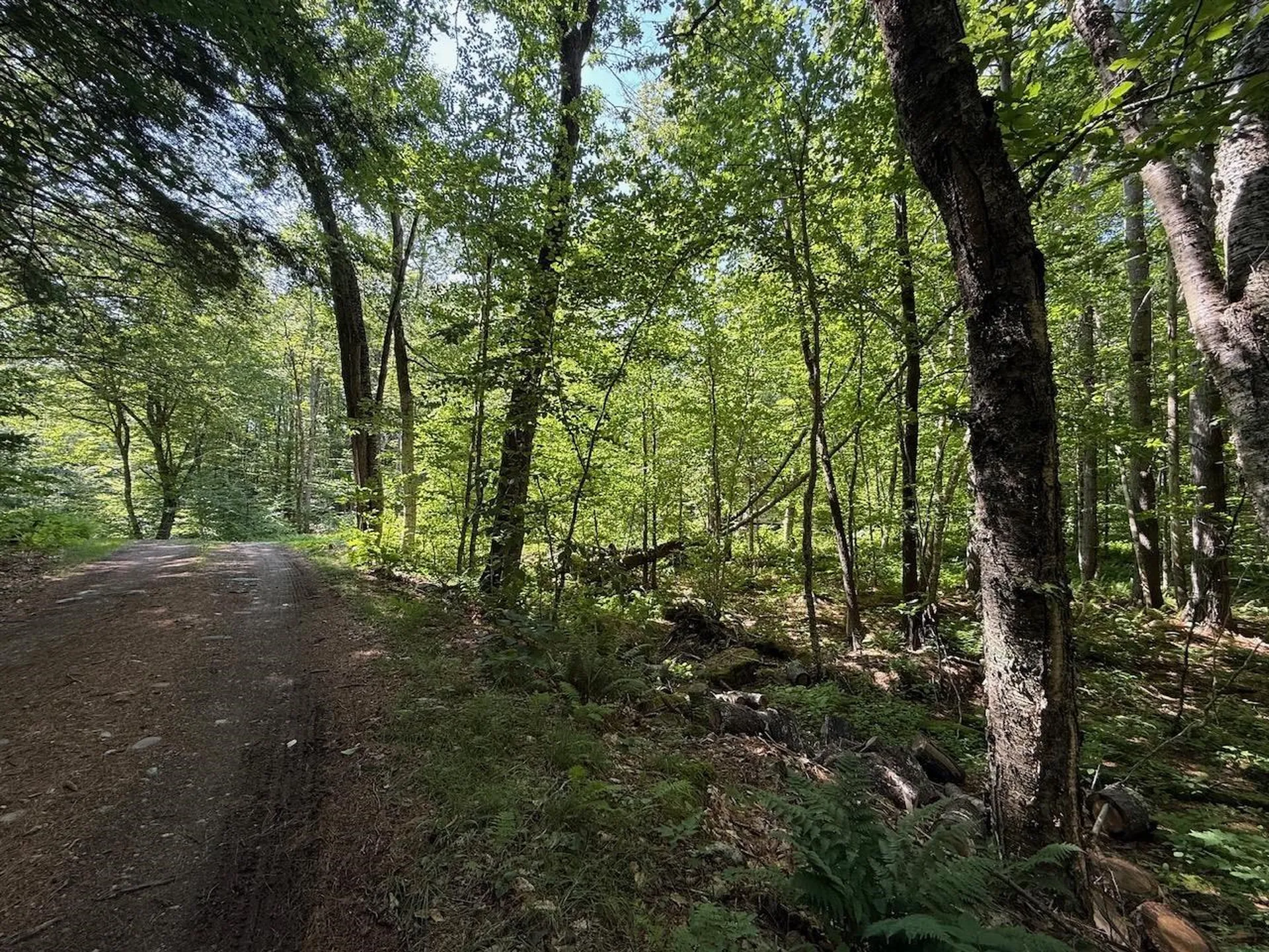 182 Partridge Lane Jamaica VT 05343