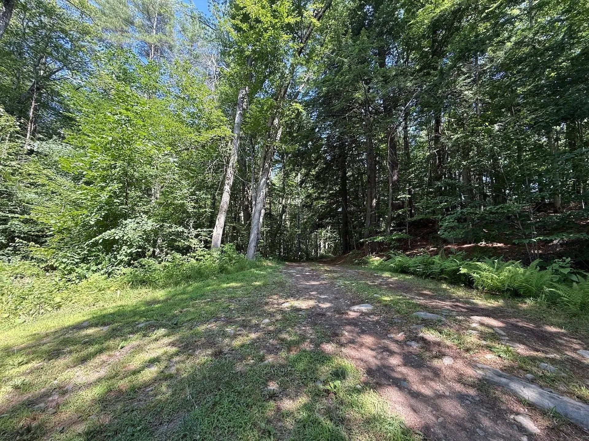 182 Partridge Lane Jamaica VT 05343