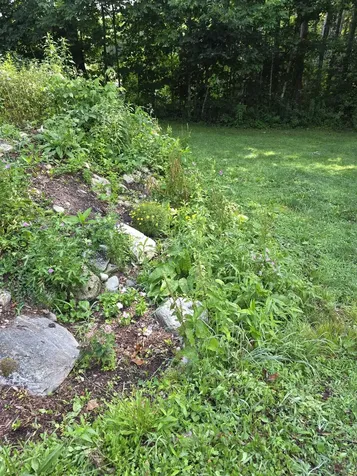 182 Partridge Lane Jamaica VT 05343