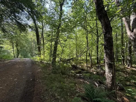 182 Partridge Lane Jamaica VT 05343