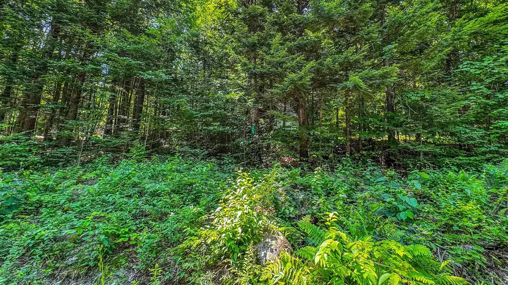 148 Summit View Drive Tamworth NH 03886