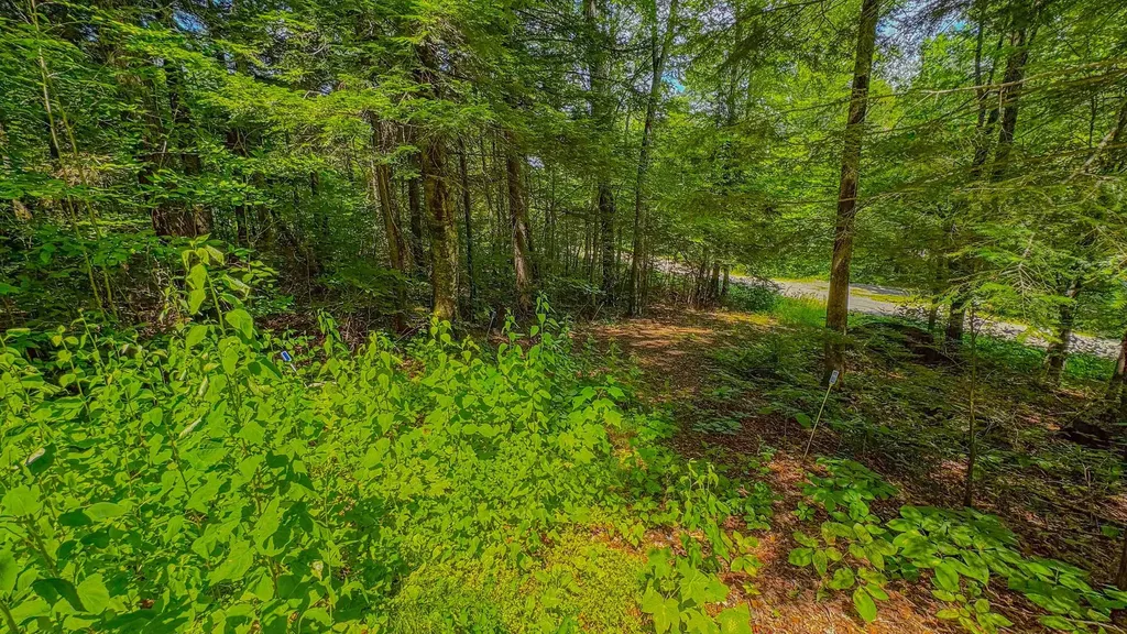 148 Summit View Drive Tamworth NH 03886