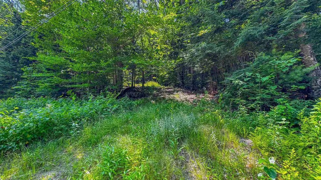 148 Summit View Drive Tamworth NH 03886