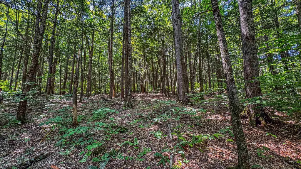 148 Summit View Drive Tamworth NH 03886