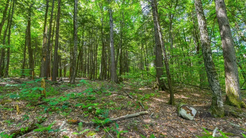 148 Summit View Drive Tamworth NH 03886