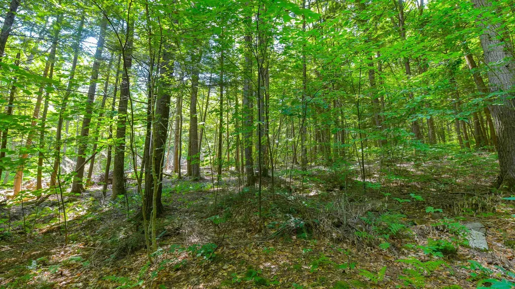 148 Summit View Drive Tamworth NH 03886