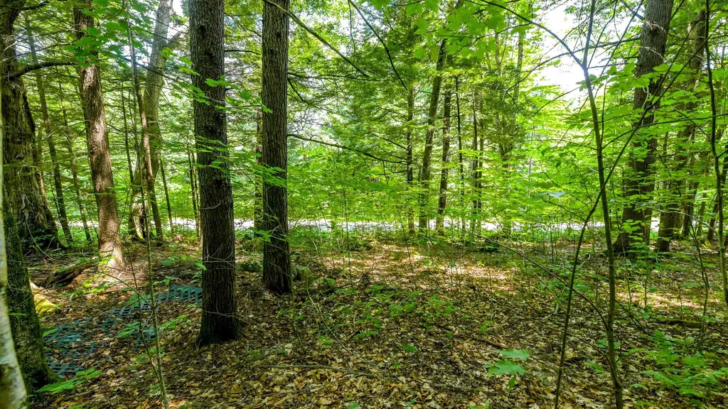 148 Summit View Drive Tamworth NH 03886
