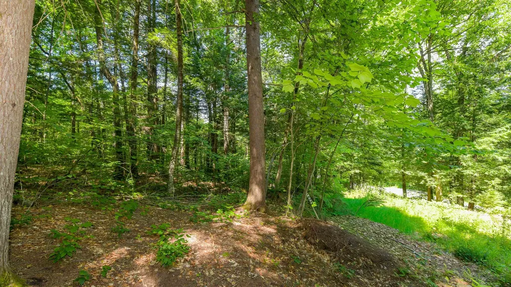 148 Summit View Drive Tamworth NH 03886
