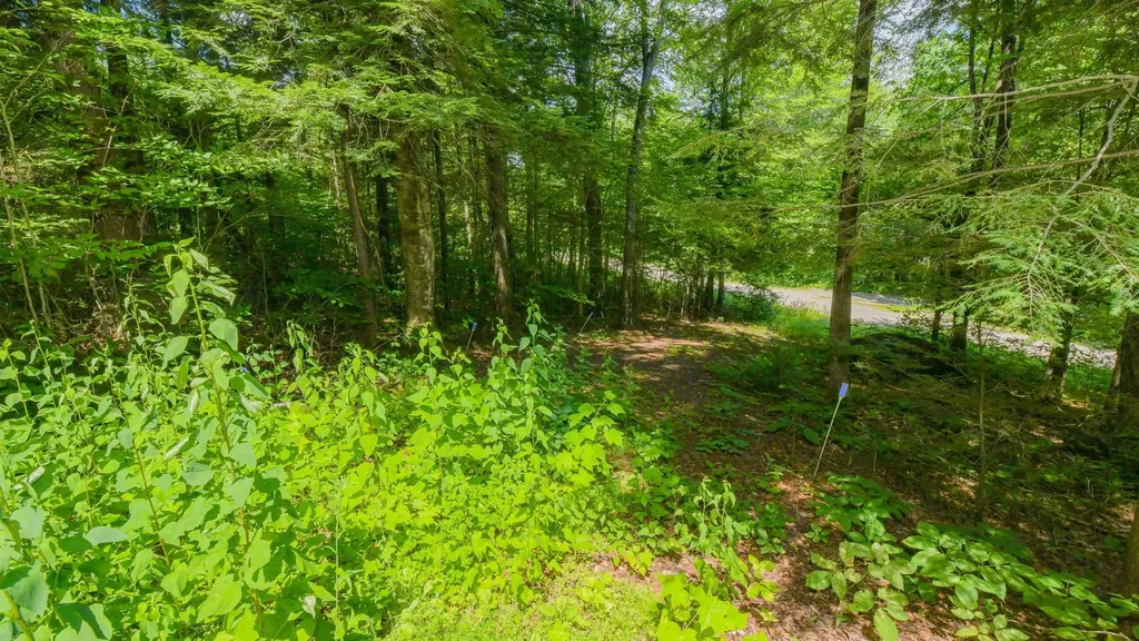 148 Summit View Drive Tamworth NH 03886