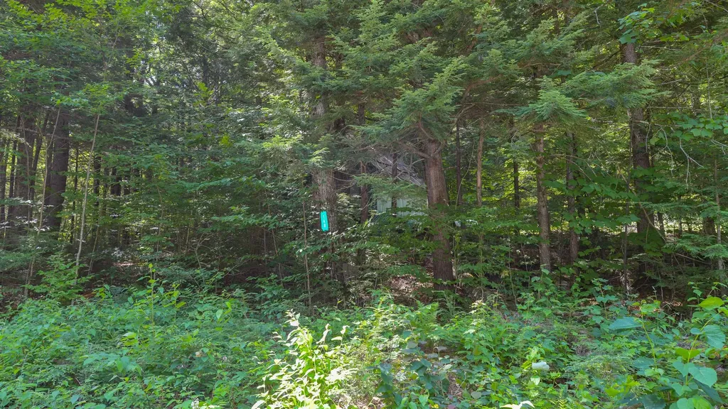148 Summit View Drive Tamworth NH 03886