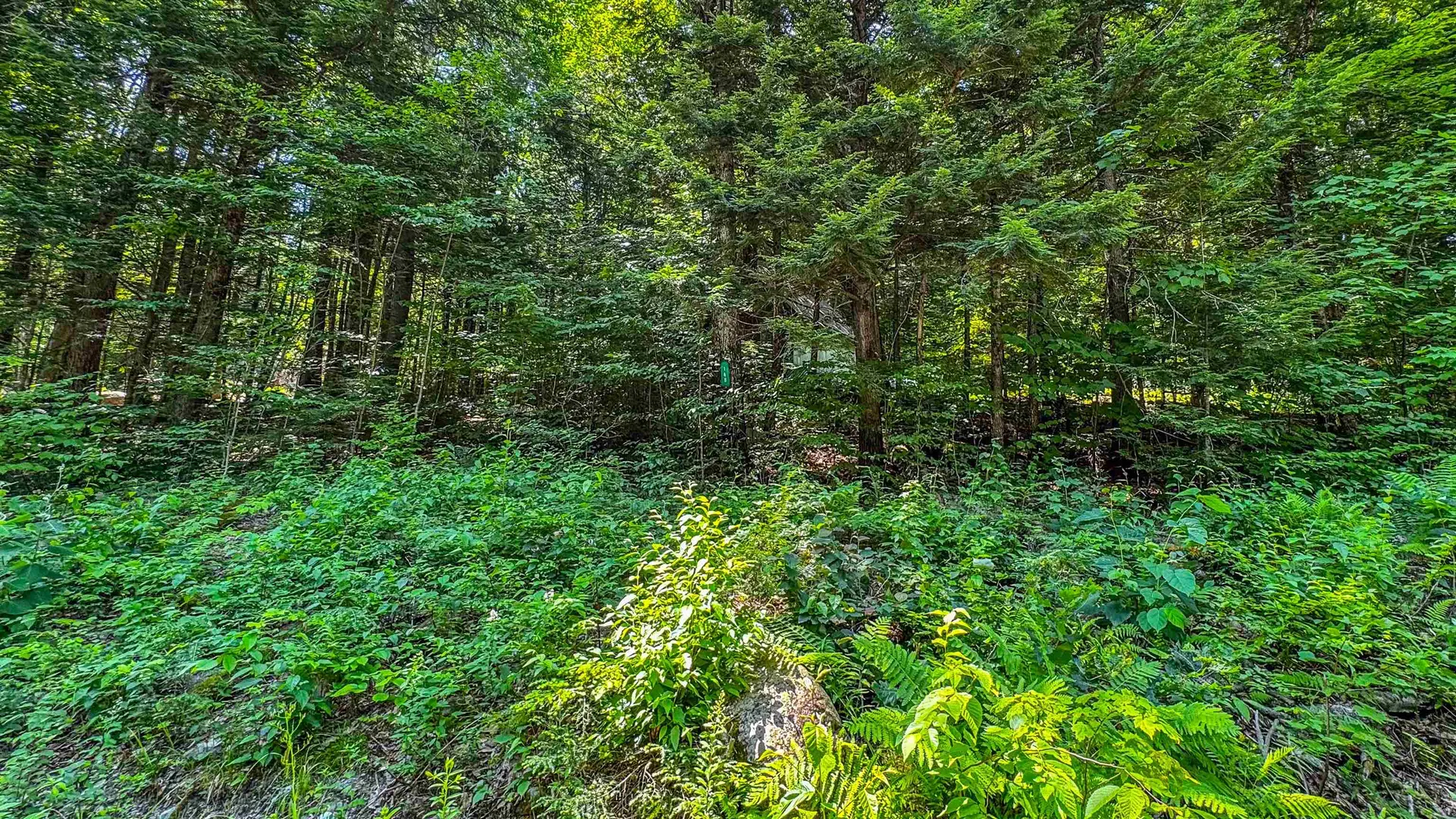 148 Summit View Drive Tamworth NH 03886